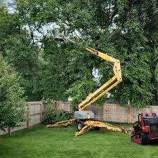 Best Landscape Design and Installation  in Merrick, NY